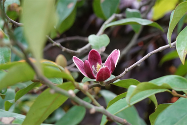 DSC07475_R