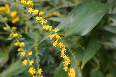 DSC09286_R