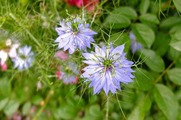 DSCF3387_R