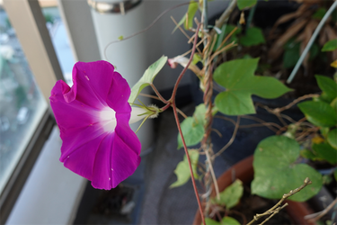 DSC08253_R