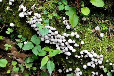 DSC02420_R