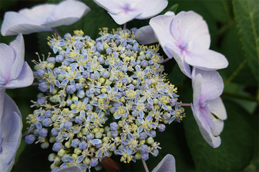 DSC08307_R