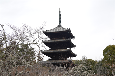 DSC09831_R
