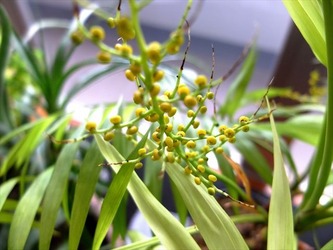 DSCF7423_R