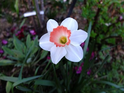 DSCF4742_R