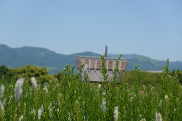 DSC07960_R