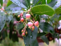 DSCF9829_R