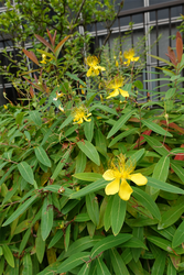 DSC08700_R