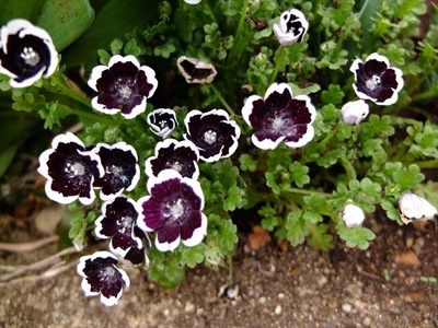 DSCF1493_R