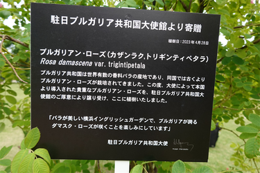 DSC06862_R