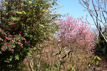 DSC05839_R