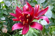 DSCF4400_R
