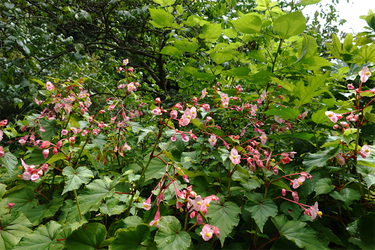 DSC09132_R