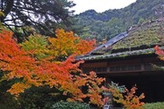DSCF7396_R