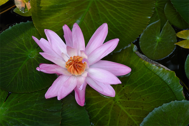 DSC03828_R