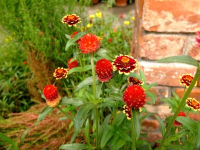 DSCF5065_R