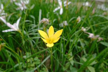 DSC09889_R