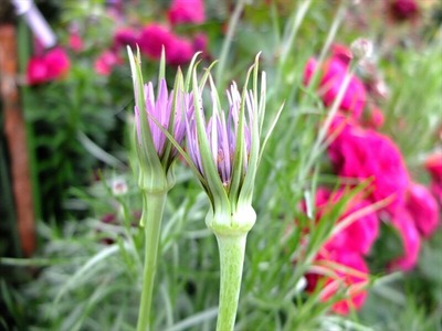 DSCF3192_R