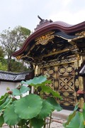 DSCF6058_R