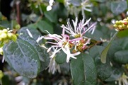 DSCF1831_R
