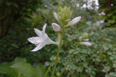 DSC08916_R