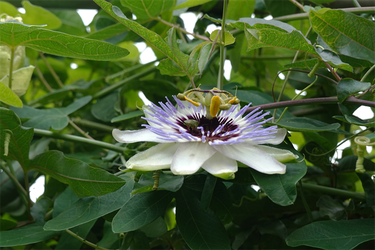 DSC09892_R