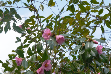 DSC05676_R