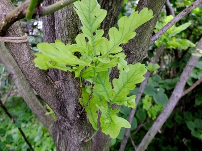 DSCF2587_R