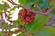 DSCF6202_R