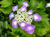 DSCF2275_R