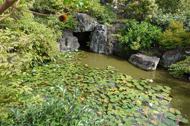 DSC09967_R