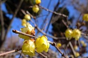 DSCF0716_R