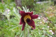 DSCF0847_R