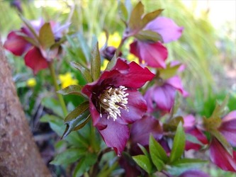 DSCF8547_R