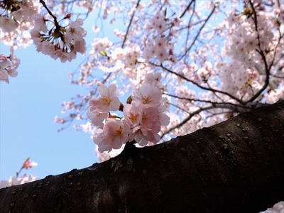 DSCF8233_R
