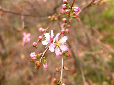 DSCF1438_R