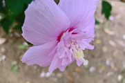 DSCF3860_R