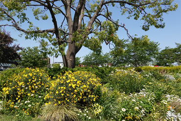 DSC07261_R