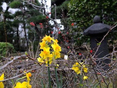 DSCF1242_R