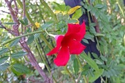 DSCF5835_R