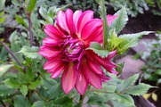 DSCF3678_R