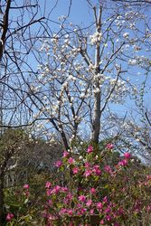 DSC05945_R