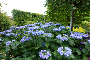 DSC08036_R