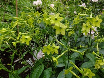 DSCF9968_R
