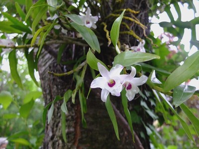DSCF2565_R