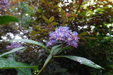 DSC08552_R