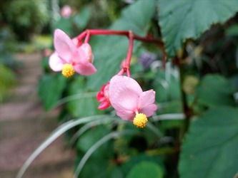 DSC01207_R