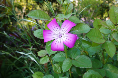 DSC06766_R