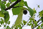 DSCF2777_R