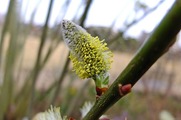 DSCF1761_R